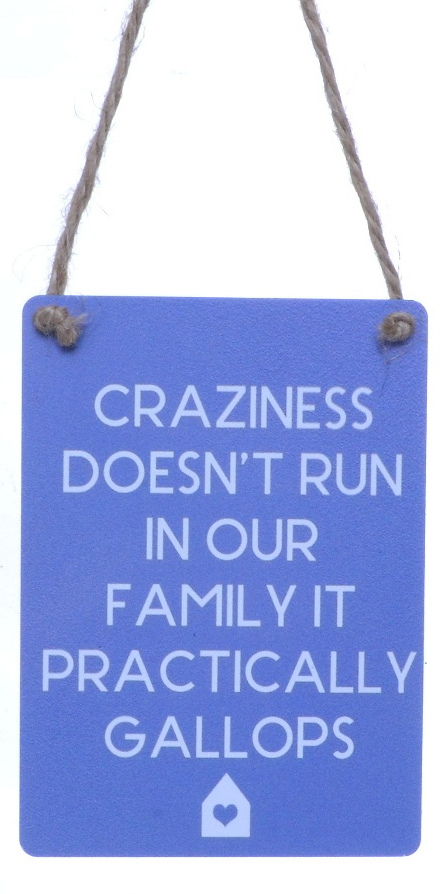 Mini Metal Sign - Craziness Family