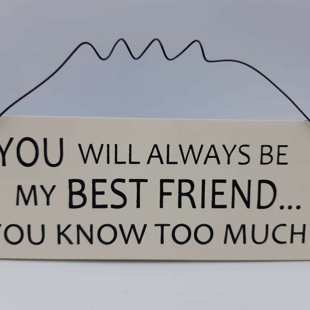 Hanging Best Friend Plaque