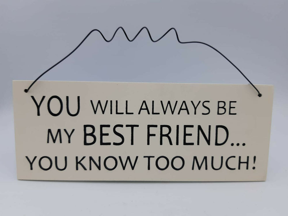 Hanging Best Friend Plaque